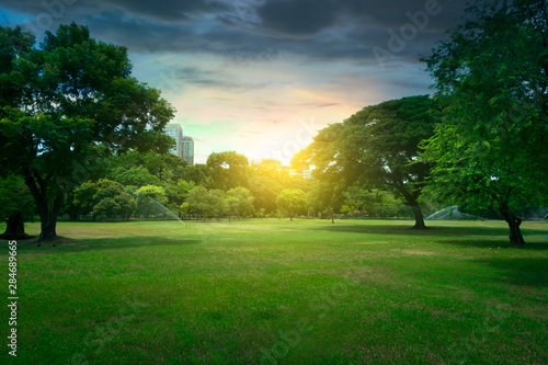 Fototapeta Naklejka Na Ścianę i Meble -  Beautiful sunset in the Lumphini Park in Bangkok, Thailand during summer.
