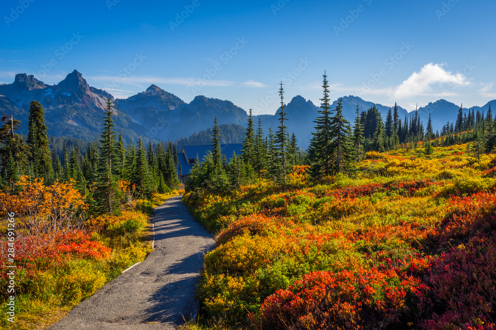 Fall colors, Mt Rainier