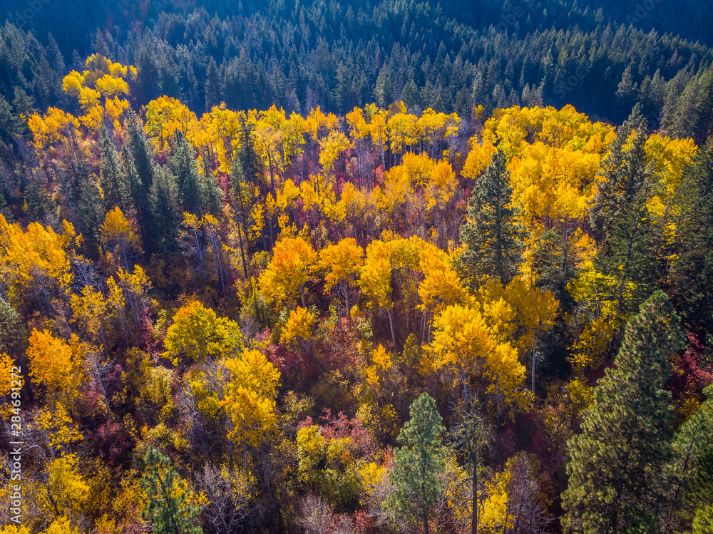 autumn foliage at Leavenworth, Washington state