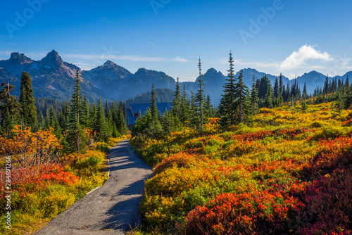 Fall colors, Mt Rainier
