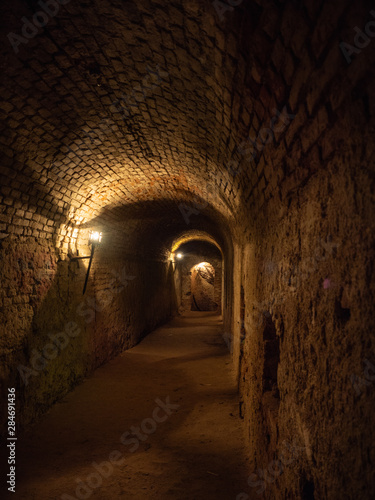 Abandoned ancient atmospheric spooky romantic frightening basement catacombs 