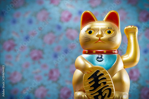 Maneki Neko, Japanese lucky cat, figurine golden cat brings good luck, japan, china, asia, culture, Goldon lucky cat with a colored background, concept, postcard