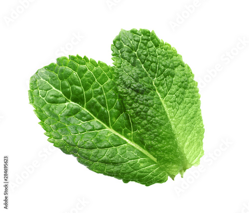 Green leaves of fresh aromatic mint isolated on white