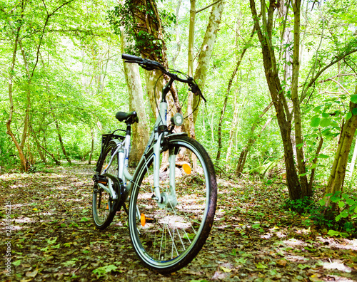 Defocused view of new aluminum city bike parked near platanus tree in forest