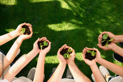 Quadro em tela Group of volunteers holding soil with sprouts in hands outdoors, top view