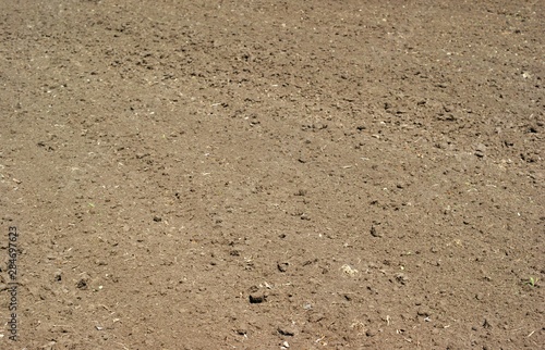 Stone desert at golden hour of sunset.