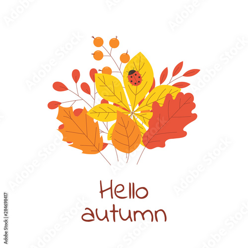 Colorful autumn leaves and berries with ladybug in flat style isolated on white background.