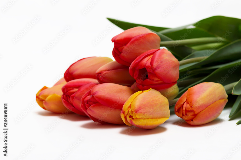 Bouquet of red tulips isolated on white background. Top view. Close-up. Bouquet of red tulips isolated on white background. Top view. Close-up.