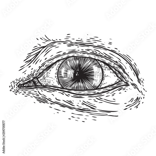 All seeing eye symbol element variation. Alchemy, religion, spirituality and occultism tattoo ink art. Vision of providence and conspiracy theory. Hand drawing in flash tattoo style artwork. Vector.