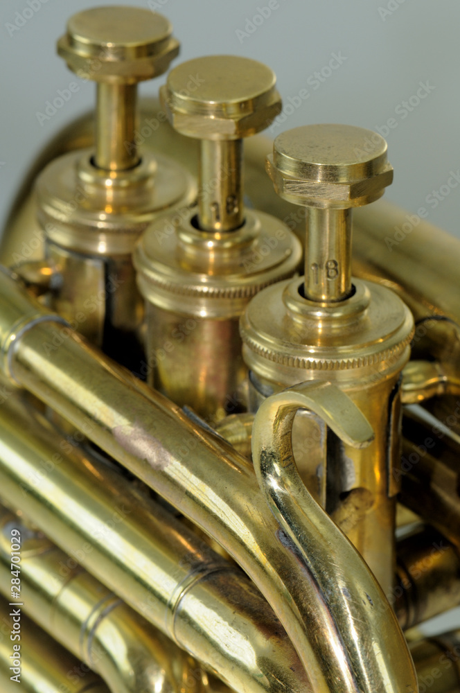 Fototapeta premium trompete detail