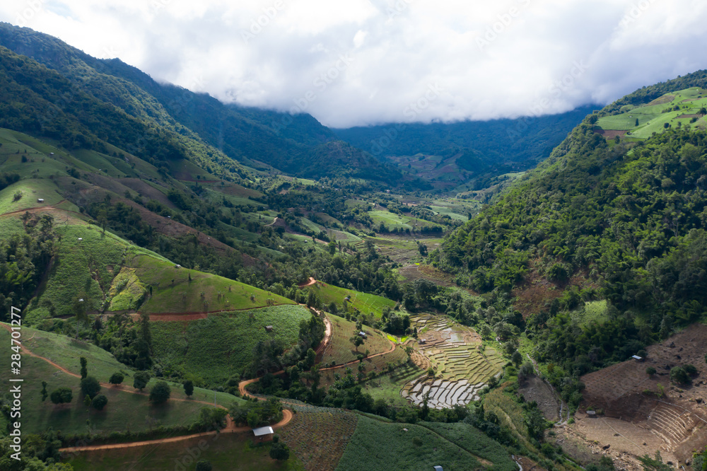 Fototapeta premium Terraced rice paddy field in Chiang Mai, Thailand.