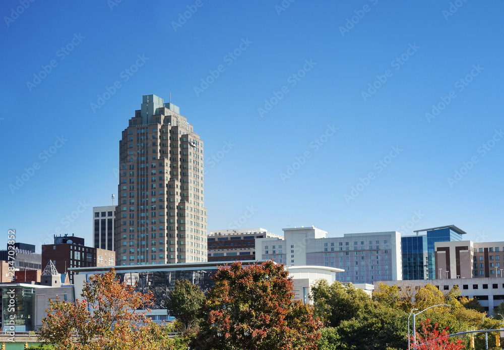 Downtown Raleigh with Fall foliage