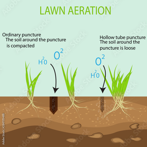  landscape design services. Vector on a blue background. A green lawn with on the ground in the context of the advantages of the aeration tool with hollow pipes in comparison with the usual method.