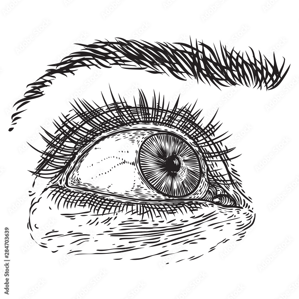 Obraz premium Hand drawn woman eye with iris, eyebrows and full lashes. Makeup salon design element. Vector.