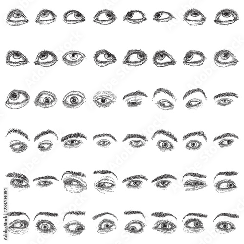 Female and male eye and brow with lashes image set in different mood and directions. Fashion boy and girl vision design. Ink hand drawing for makeup look and studio salon or tattoo design. Vector.