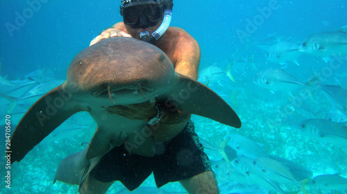 Swimming with tiger sharks in Caribbean Hol Chan Marine Reserve, Belize