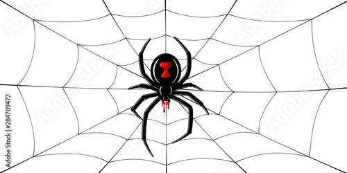 Spider Black Widow, cobweb. Red black spider 3D, spiderweb, isolated white background. Scary Halloween decoration icon web. Symbol networking, animal arachnid, creepy insect fear. Vector illustration