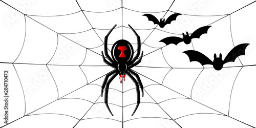 Fototapete Spider Black Widow, cobweb, bats