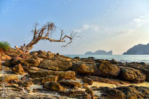 Tropical paradise beach. Thailand seascape lagoon.