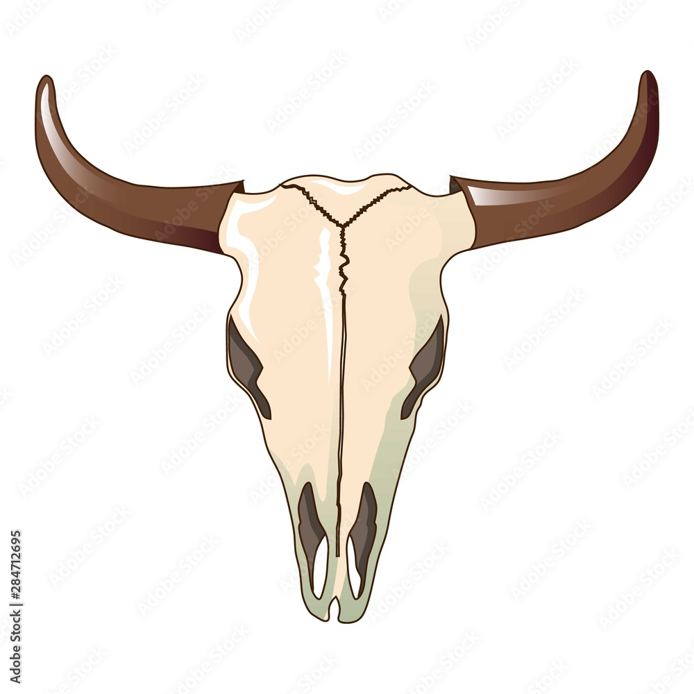 Cow skull icon. Cartoon of cow skull vector icon for web design isolated on white background Cow skull icon. Cartoon of cow skull vector icon for web design isolated on white background
