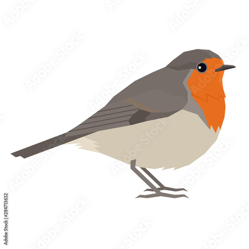 Robin bird Vector illustration Isolated object