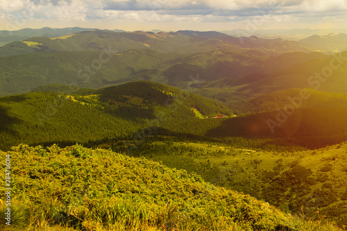 Summer landscape in the Carpathian mountains. View of the mountain peak Hoverla.