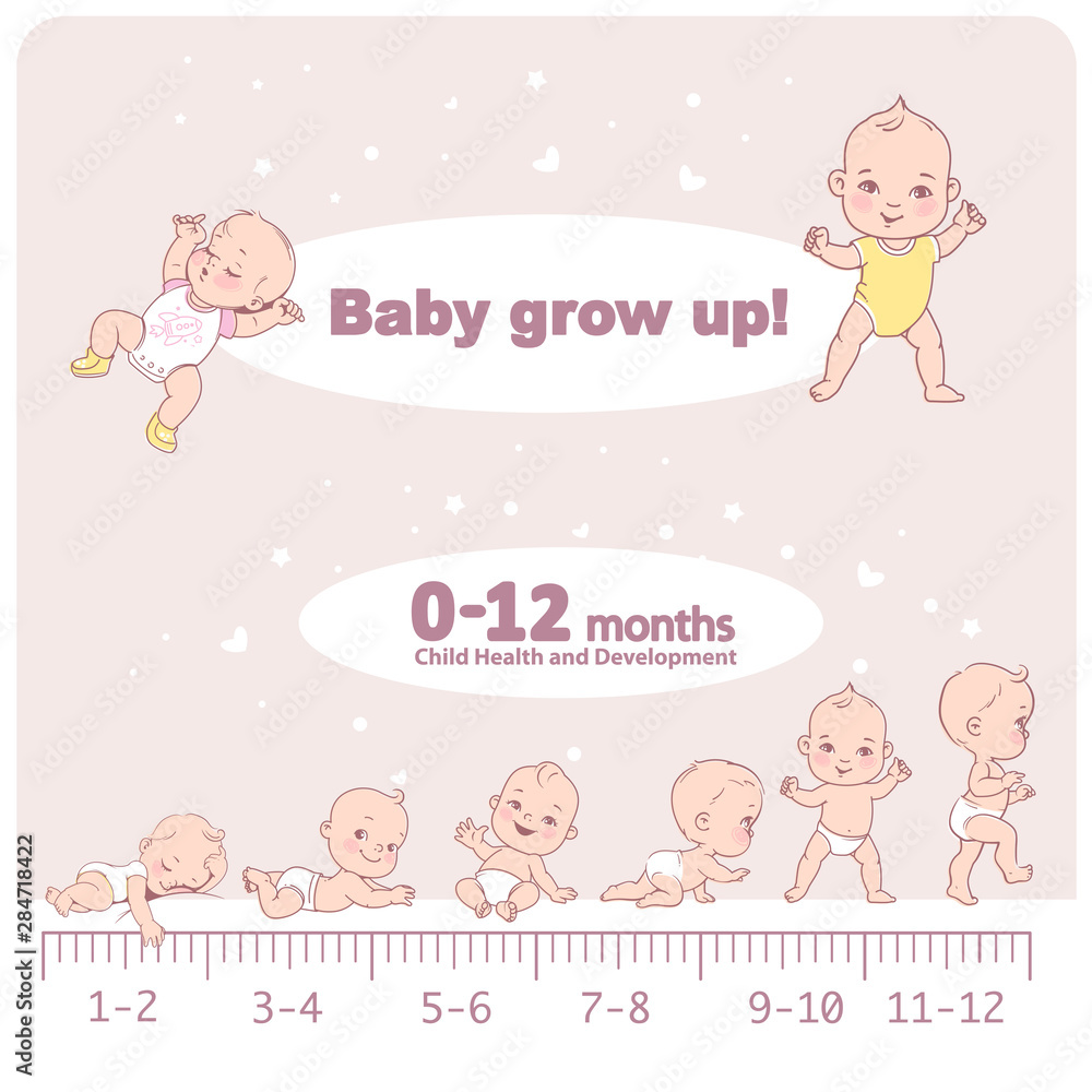 Baby growth from newborn to toddler scale with months. Baby growth from newborn to toddler scale with months.