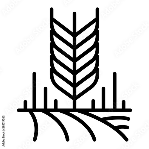 Wheat grains icon. Outline wheat grains vector icon for web design isolated on white background