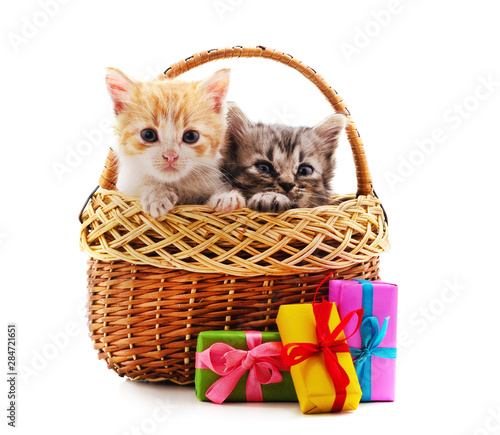 Two kittens in the basket with a gift. © ANASTASIIA