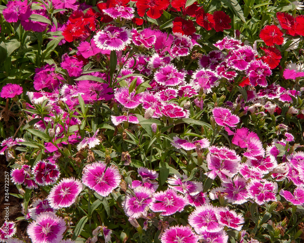 Will Rogers Park and Gardens..2 Will Rogers Park and Gardens..2
