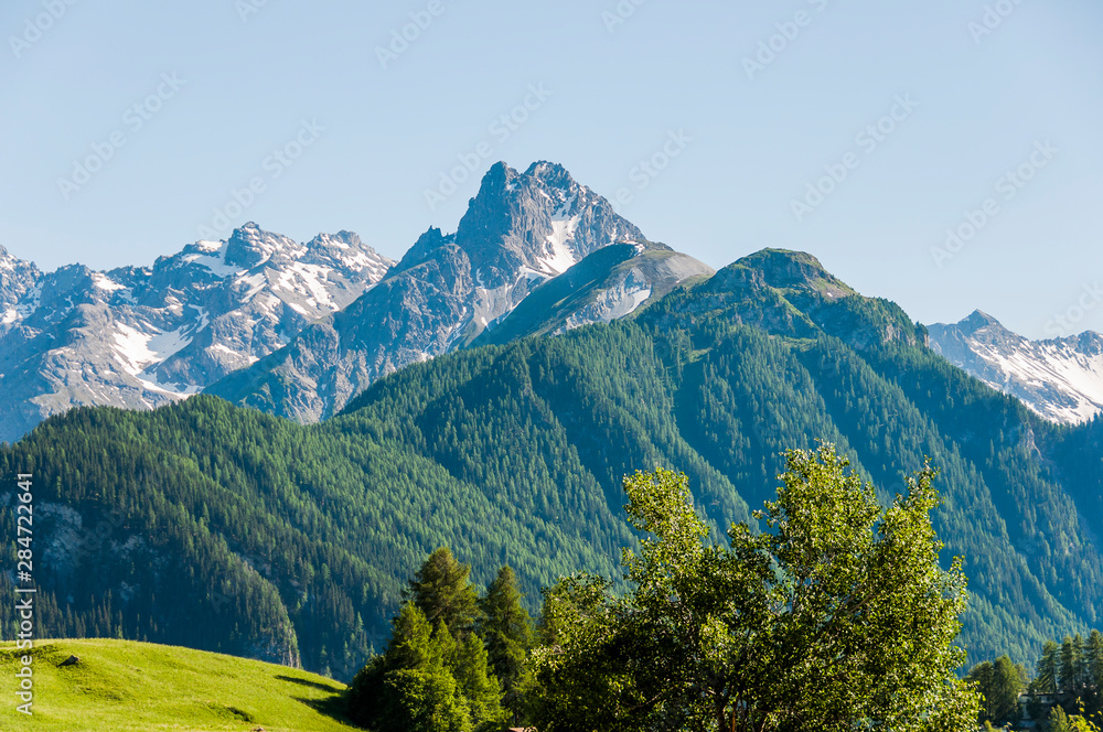 Ftan, Unterngadin, Inn, Inntal, Alpen, Schweizer Berge, Scuol, Wanderweg, Bergwiese, Sommer, Graubünden, Schweiz