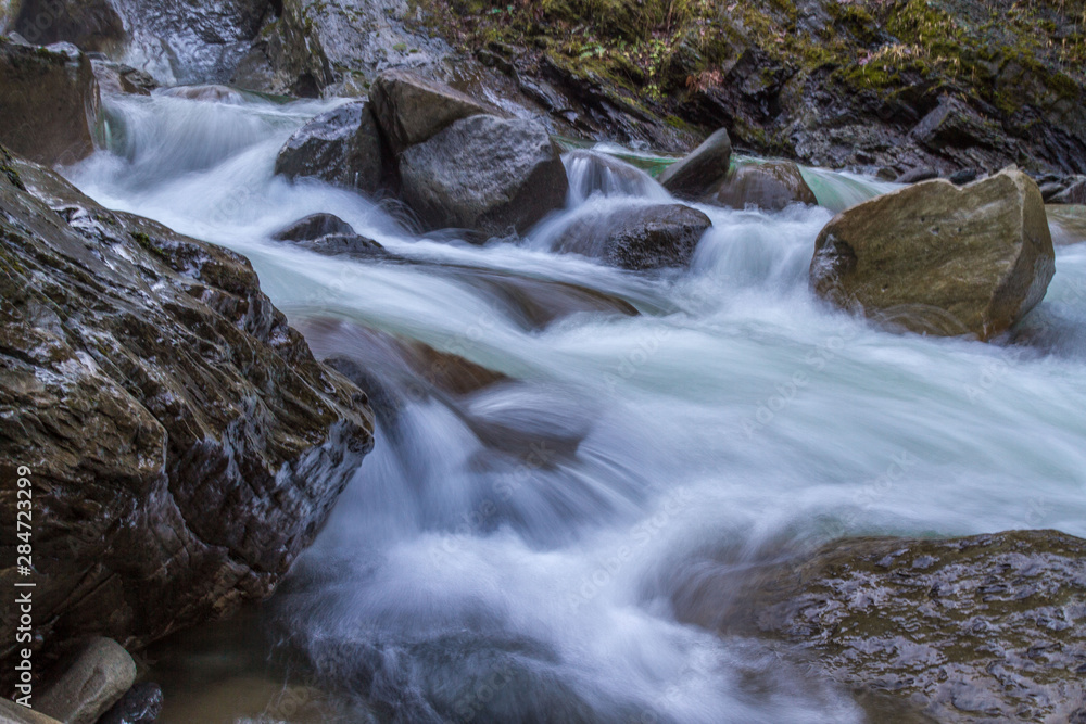 Fototapeta premium waterfall in the forest