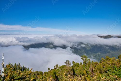 Plateau Paul da Serra above clouds in sunny summer day on the island of Madeira  Portugal