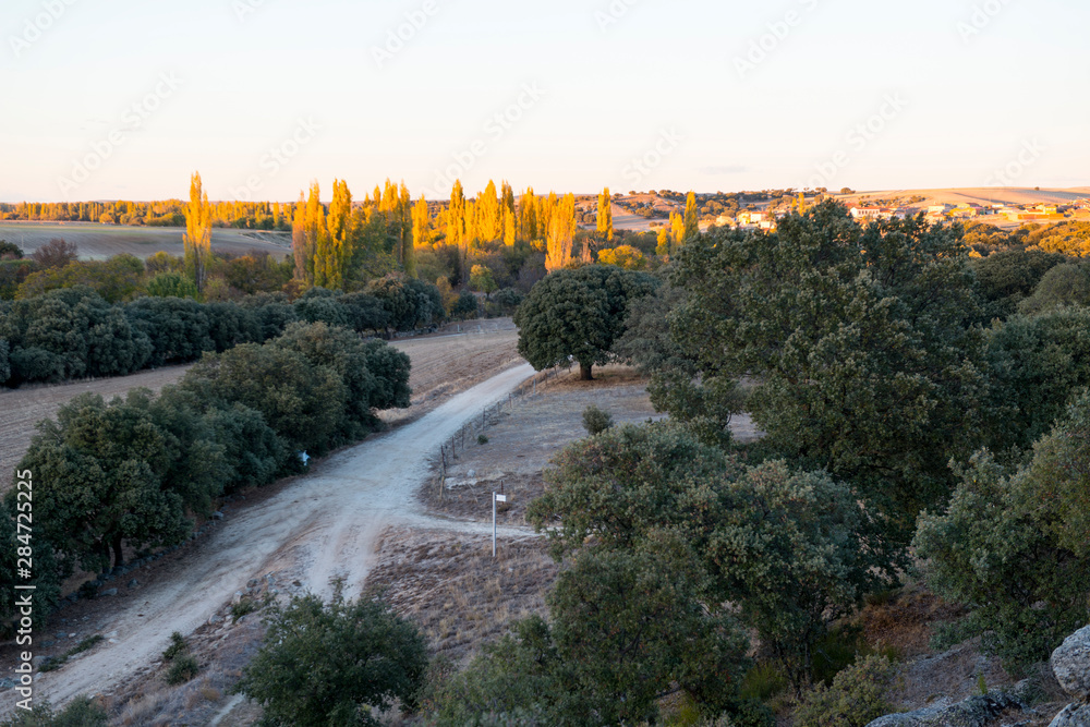 castilla en noviembre otoño 2018