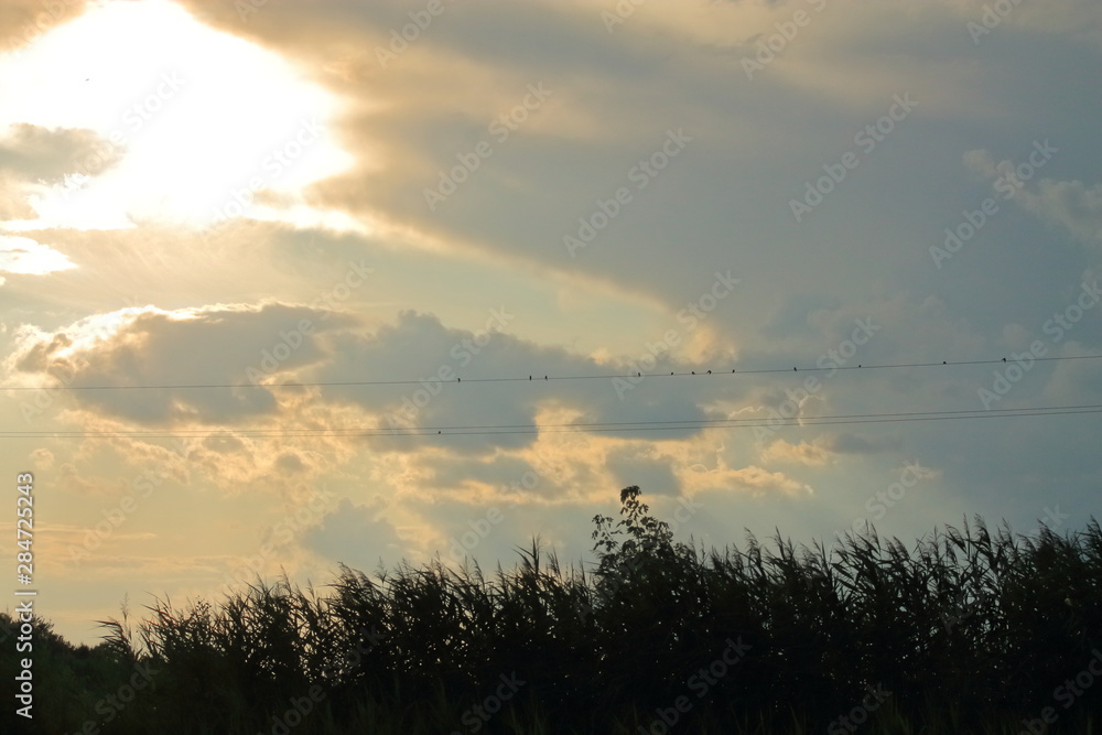 Fototapeta premium colorful sky at sunset. the sky is orange and grey clouds at sunset. beautiful view of the clouds. beautiful sunset. outdoor recreation in the evening. birds swallows sitting on wires