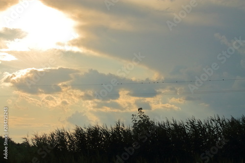 colorful sky at sunset. the sky is orange and grey clouds at sunset. beautiful view of the clouds. beautiful sunset. outdoor recreation in the evening. birds swallows sitting on wires