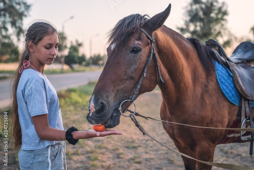 Sweet girl feeds a horse a carrot , closeup