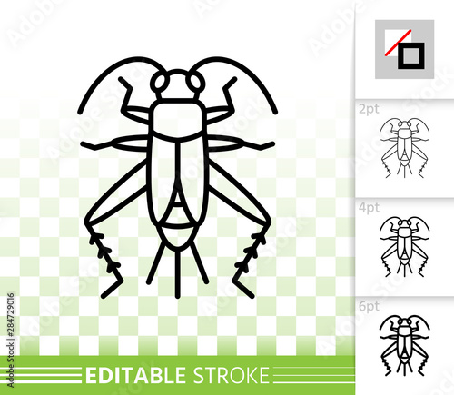 Cricket Bug simple black line vector icon