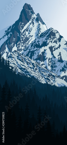 vector morning in winter mountains