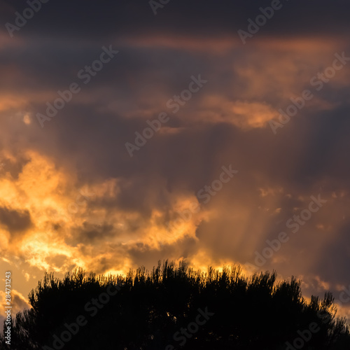 The sunbeams in the arch over the treetop