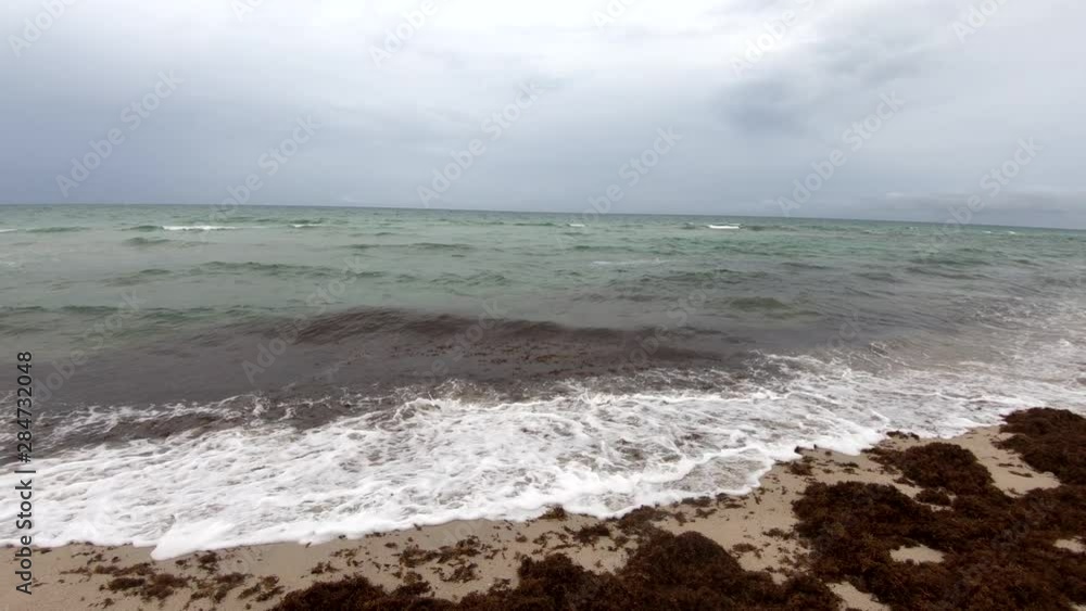 4K: Slow motion downside pan ocean water hitting fine sand shore, Miami Beach 4K: Slow motion downside pan ocean water hitting fine sand shore, Miami Beach