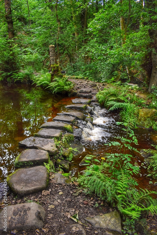 Fototapeta premium Stepping stones