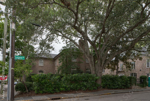 Brick homes in Charleston SC USA with trees