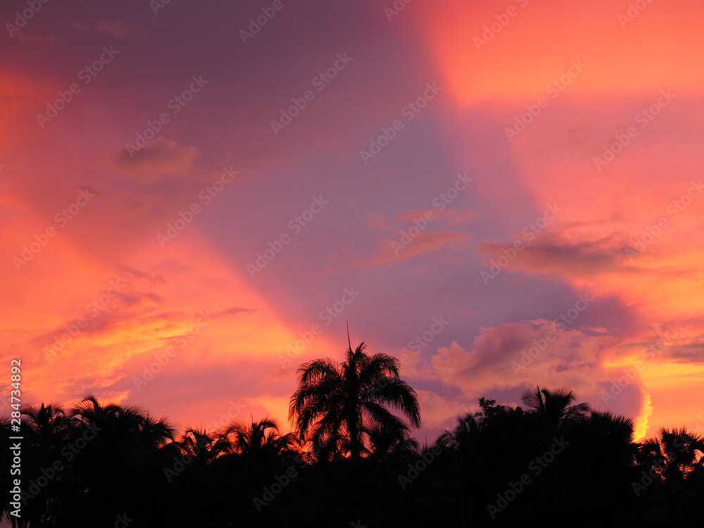 beautiful mystical sunset. palm tree. tropical island.