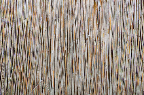 Wooden fence. Background texture of the reed fence.