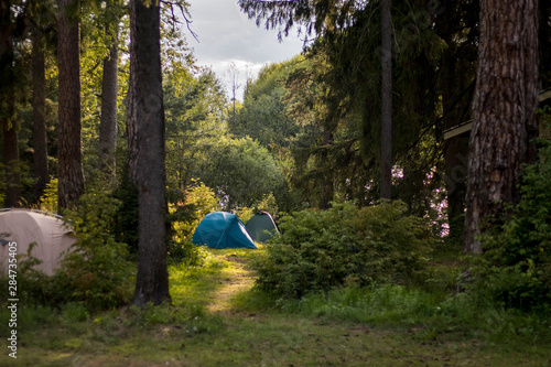 Campground in forest on the lake. Colorful tents in nature. Camping. Close-up. Background. Landscape.