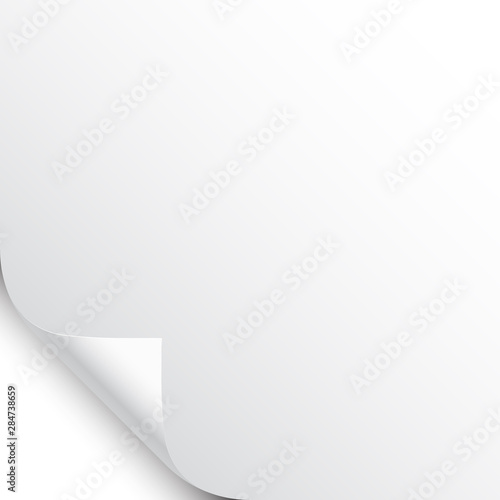 Small curled page corner with shadow on white background. Blank sheet of paper. Vector illustration.