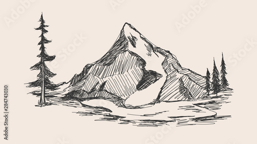 Hand drawn sketch of pine f...