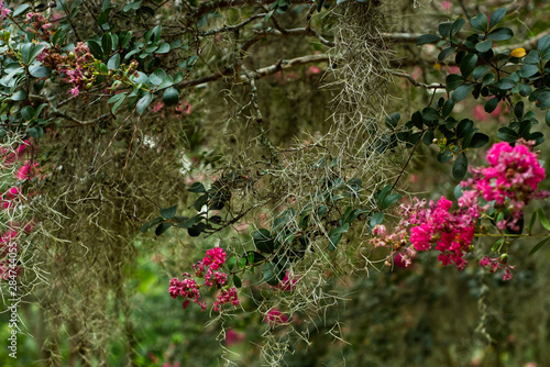 Wallpaper Mural red flowers in the garden Torontodigital.ca