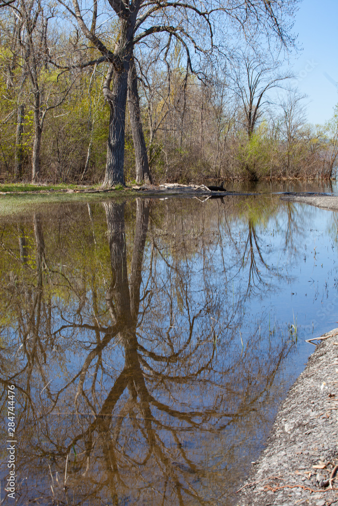 Obraz premium Reflection in the Cayuga's Waters
